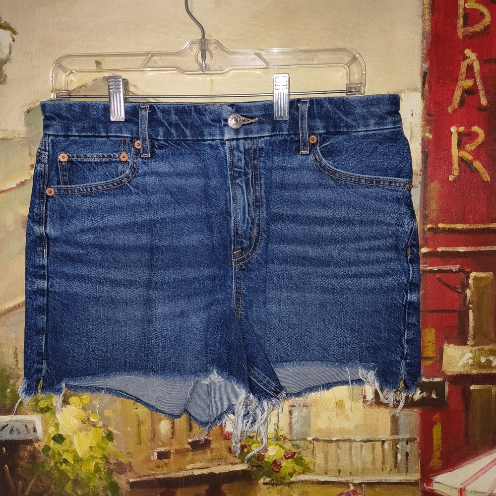 American Eagle Outfitters Deep Indigo Jean Shorts